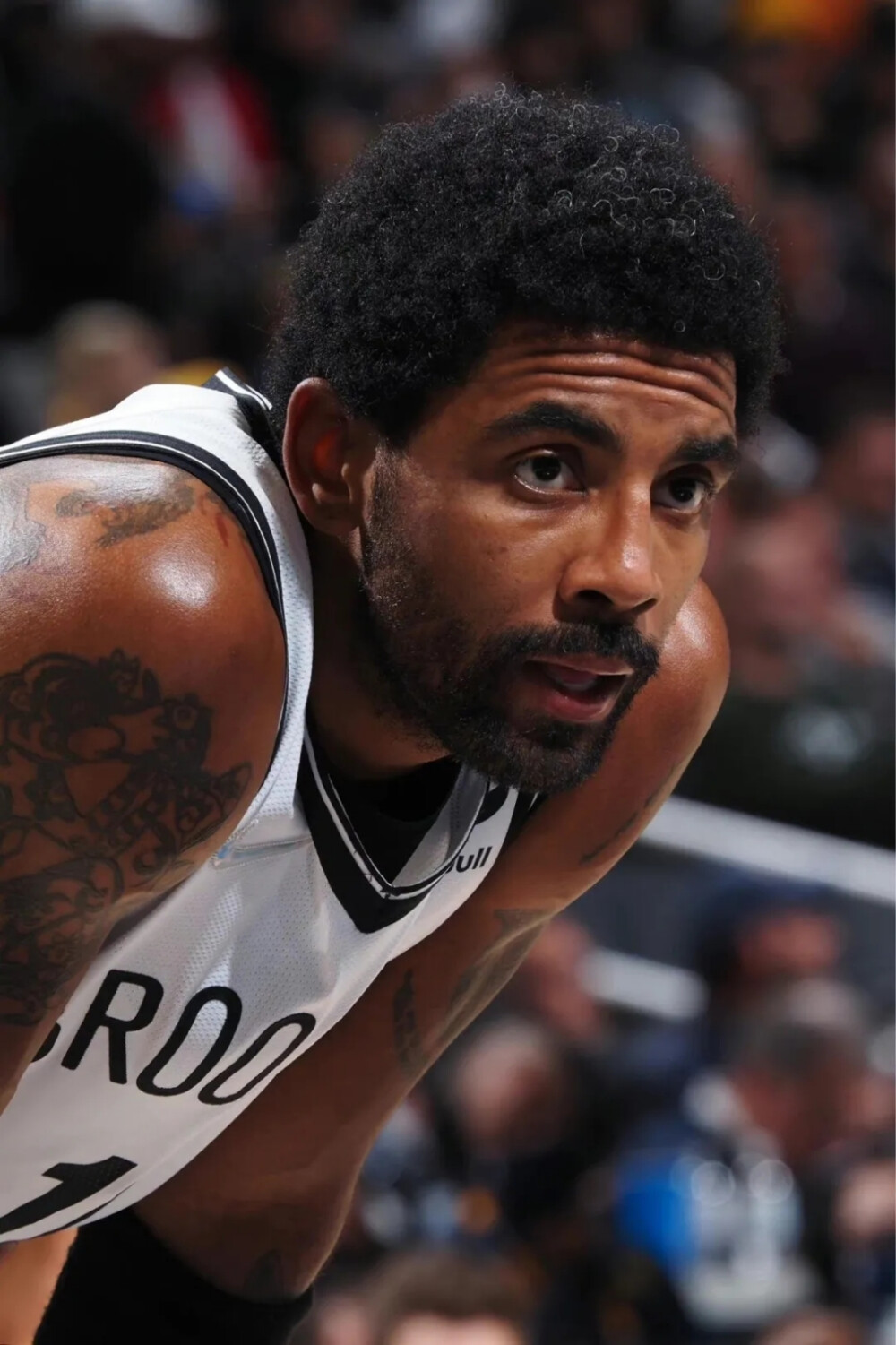 冰壶项目的 冰壶项目的