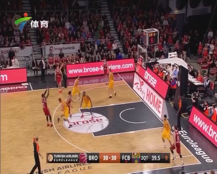 道与三角草 道与三角草